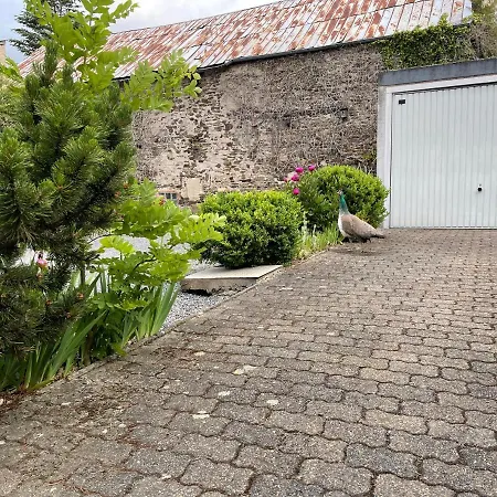 Keller Hoehe 3* Andernach