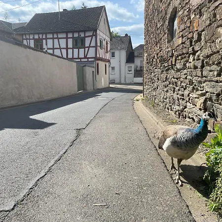 Keller Hoehe * Andernach