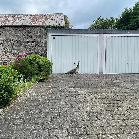 Keller Hoehe 3* Andernach