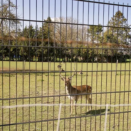 Keller Hoehe Oda ve Kahvaltı Andernach