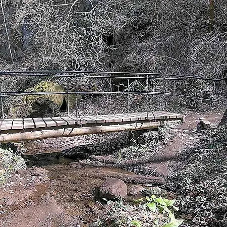 Keller Hoehe
