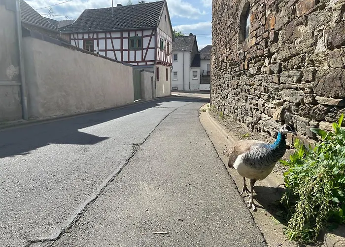 Keller Höhe 3* Andernach