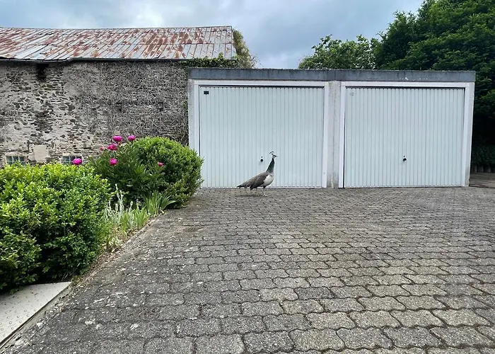 Keller Hoehe 3* Andernach