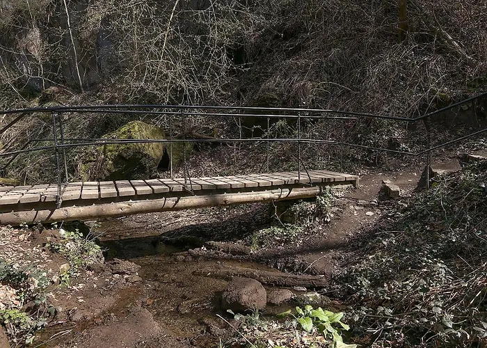 Keller Höhe 3* Andernach