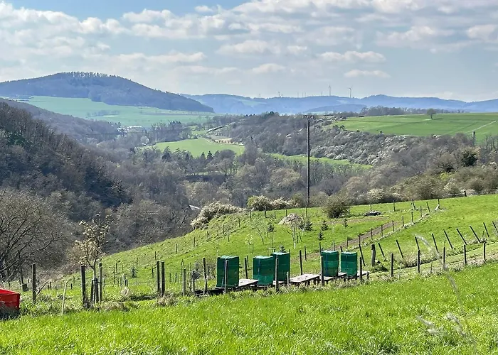 Keller Hoehe 3* Andernach