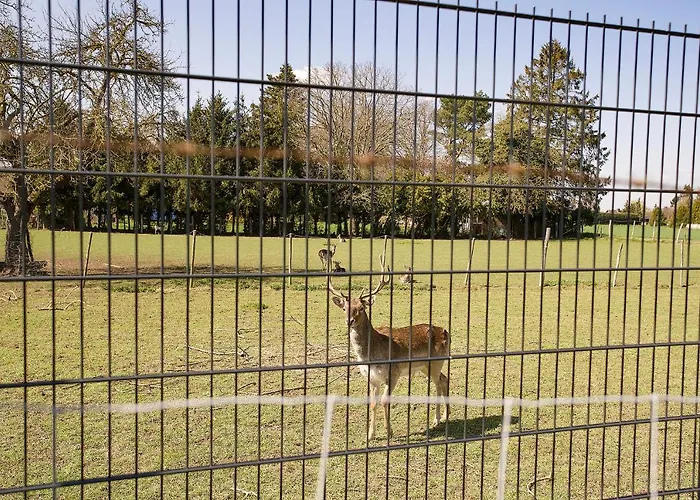 Keller Höhe Frühstückspension Andernach